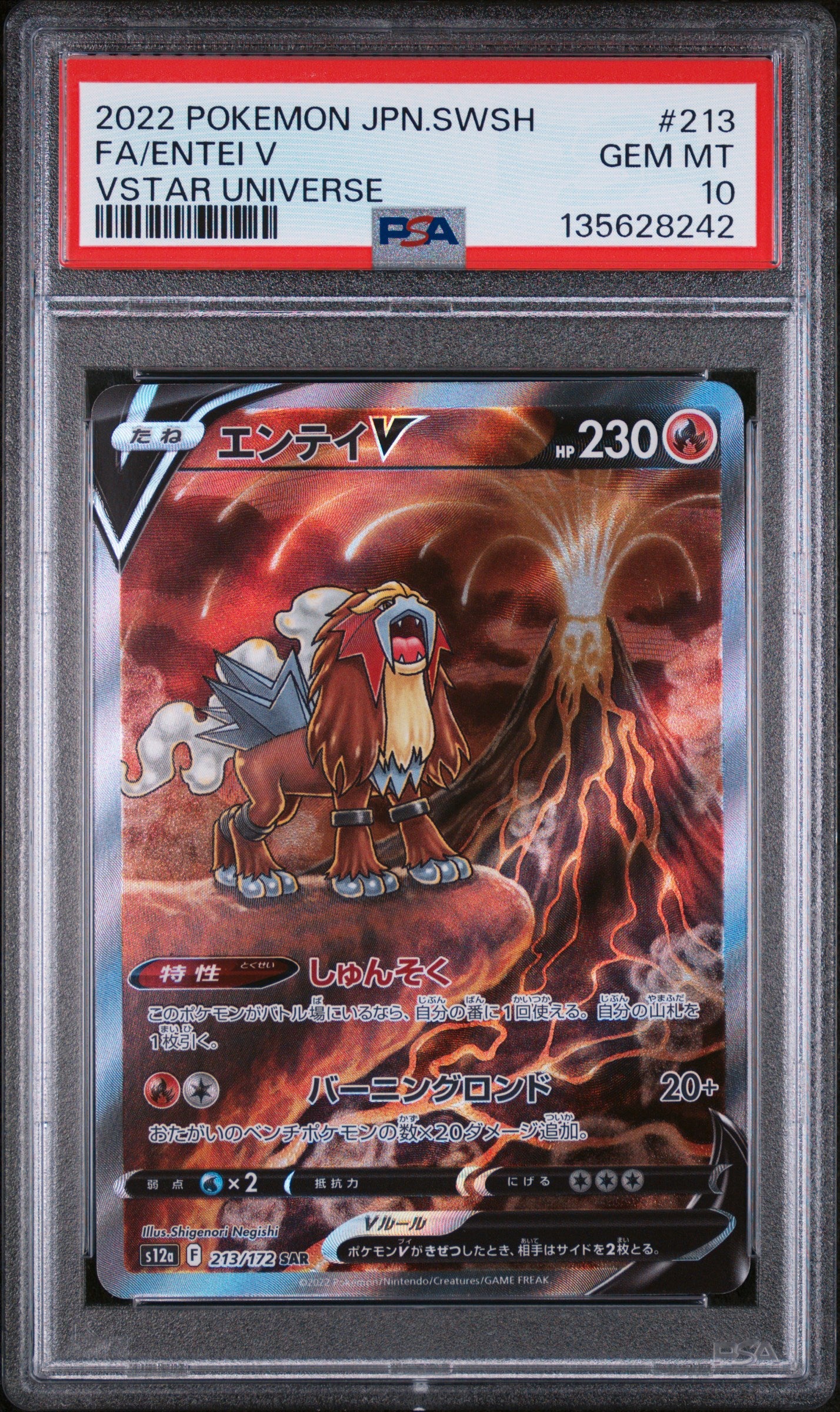 PSA 10 - Entei VSTAR 213/172 SAR s12a VSTAR Universe - Pokemon